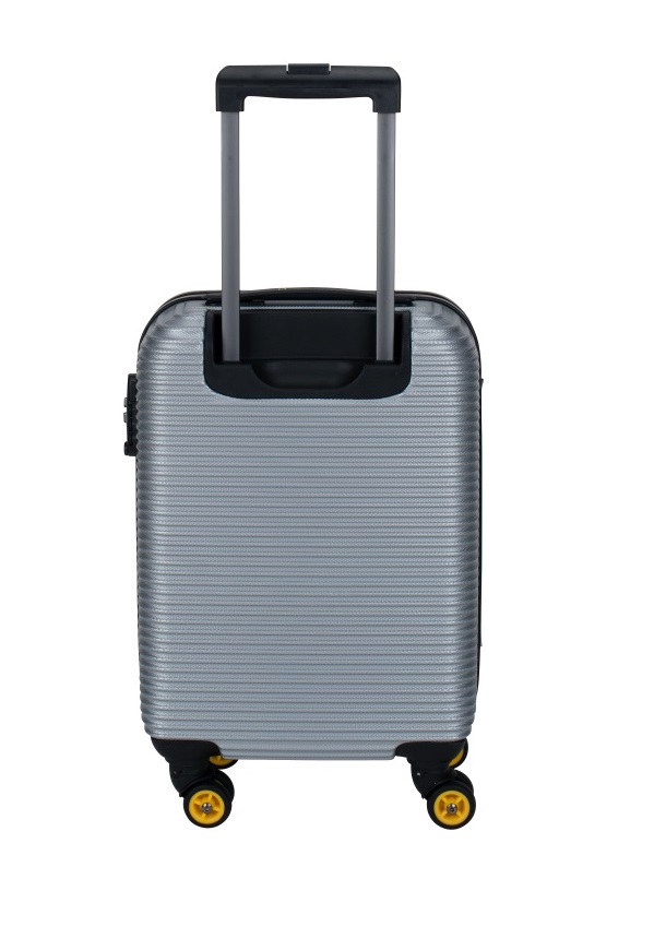 Mała walizka srebrna (NG - Abroad)